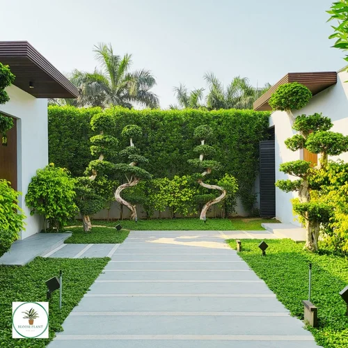 Landscape design