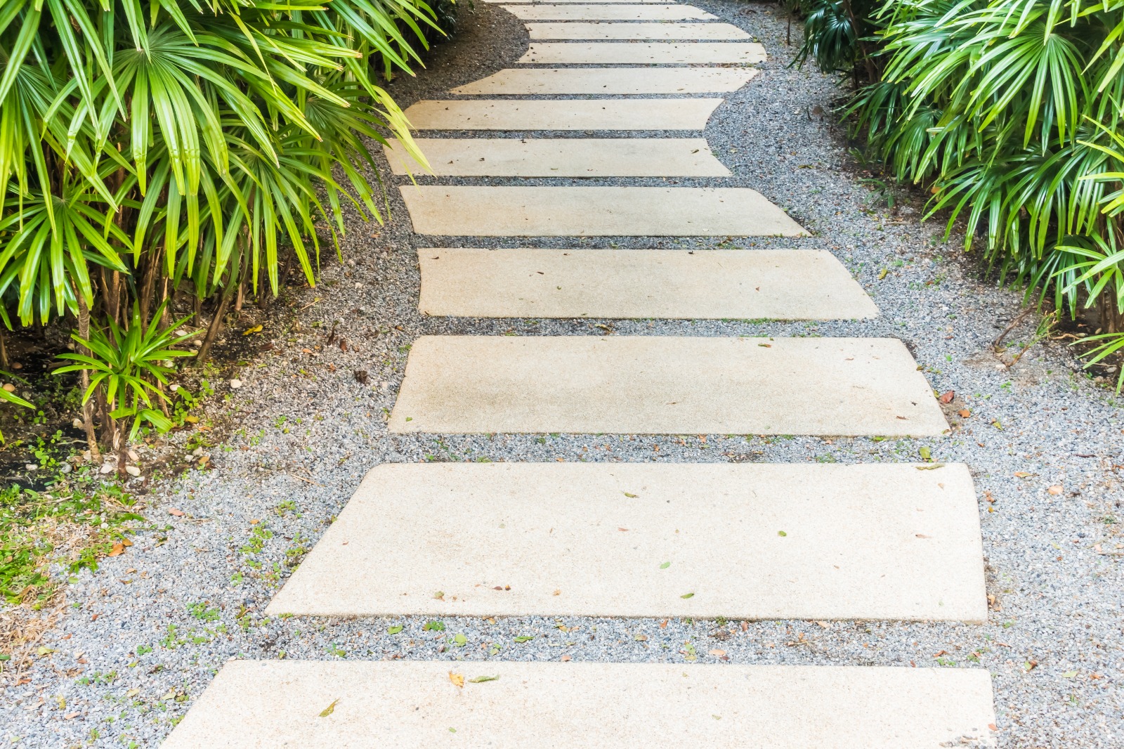 Patio and walkway design